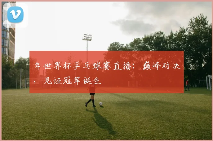 年世界杯乒乓球赛直播:巅峰对决,见证冠军诞生