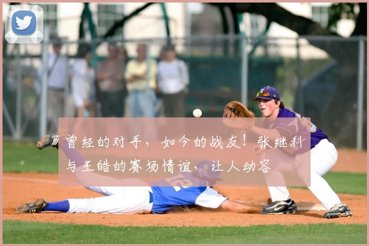 曾经的对手,如今的战友!张继科与王皓的赛场情谊,让人动容