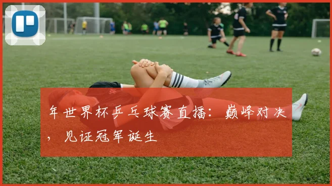 年世界杯乒乓球赛直播:巅峰对决,见证冠军诞生